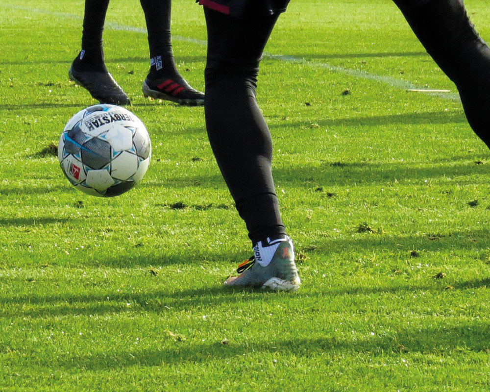 Image hover effect image